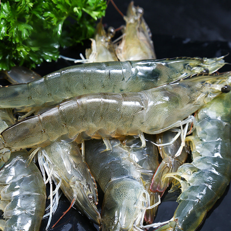 海鲜青岛大虾对虾水产基围鲜活超大鲜虾海虾冻虾