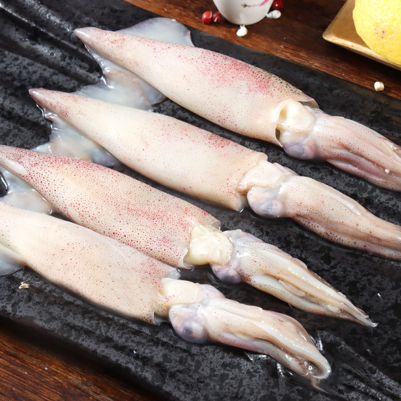 鱿鱼小鱿鱼鲜活冷冻笔管新鲜500g铁板火锅烧烤冷冻鱿鱼
