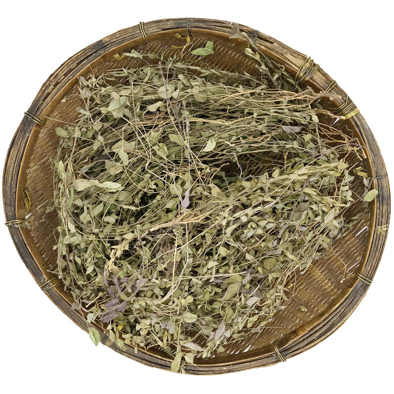 小叶来马回草 野生 中草药 瓜子金 瓜子草竹叶地丁金牛草干品250g