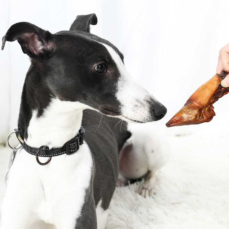 新西兰进口ziwipeak巅峰磨牙风干鹿蹄健齿耐咬犬狗狗风干零食