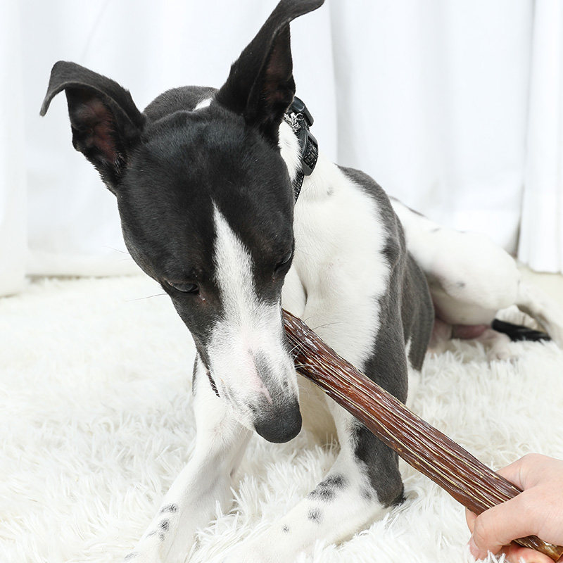 新西兰进口ziwipeak巅峰磨牙棒全小腿狗健齿咬胶犬狗风干零食