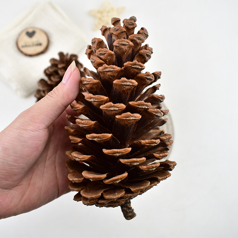 松塔圣诞节装饰摆件儿童手工diy材料天然松果干花