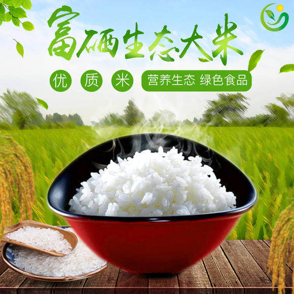 白湖富硒香软米白湖香软米大米东北北大米宝宝稀饭大米