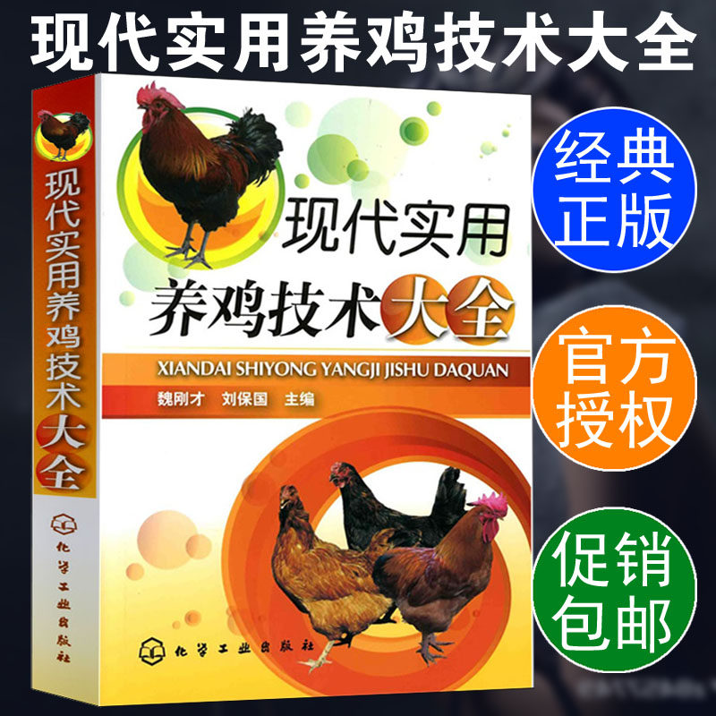 现代实用养鸡技术大全 肉鸡土鸡散养鸡养殖技术教程 养鸡场鸡病防治