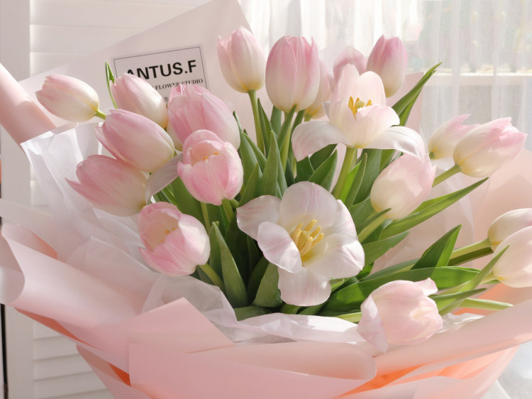 郁金香进口花材韩式小花花束鲜花速递同城济南鲜花店鲜花速递同城