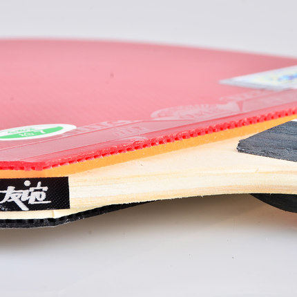 友谊729二星训练乒乓球拍成品拍金2星双面反胶全能型初学球拍-图3