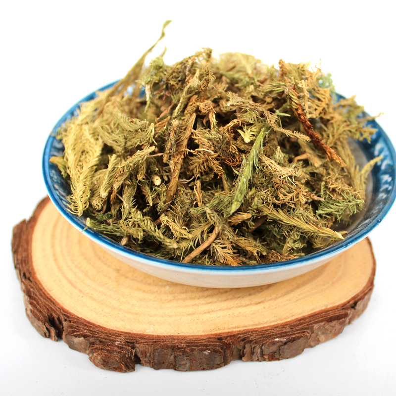伸筋草舒筋草生筋草大伸筋草 石松狮子草绿毛 500g