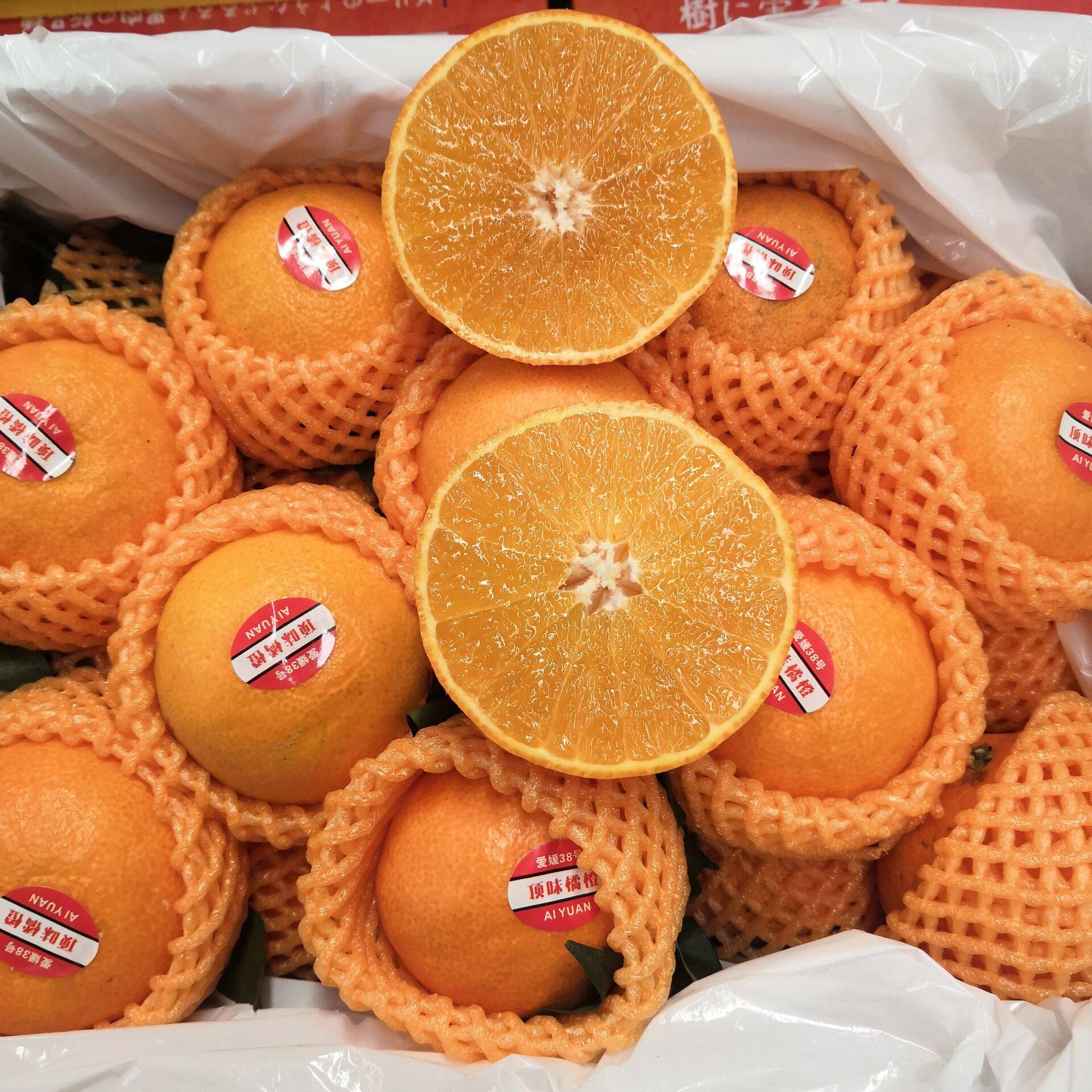 现货爱媛38号果冻橙新鲜柑橘橙子榨汁手剥冰糖橙鲜甜多汁8斤礼盒