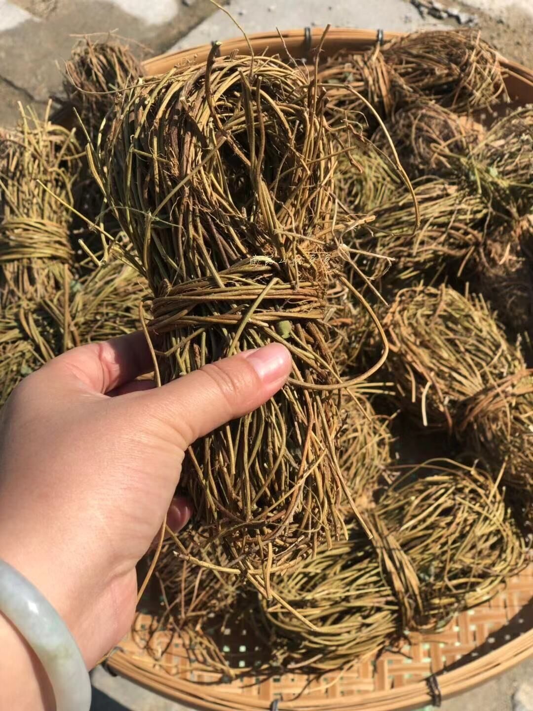 猫毛草的功效与作用_猫抓草作用和功效_猫草好还是化毛膏好