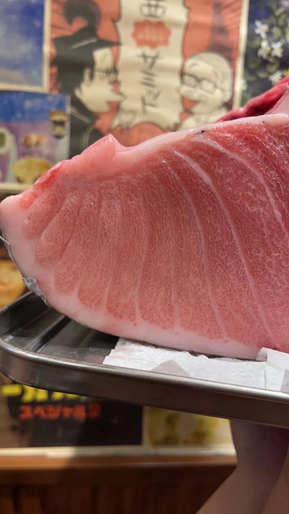 深圳发货日本空运金枪大500g蓝鳍吞拿鱼大腩日金枪鱼