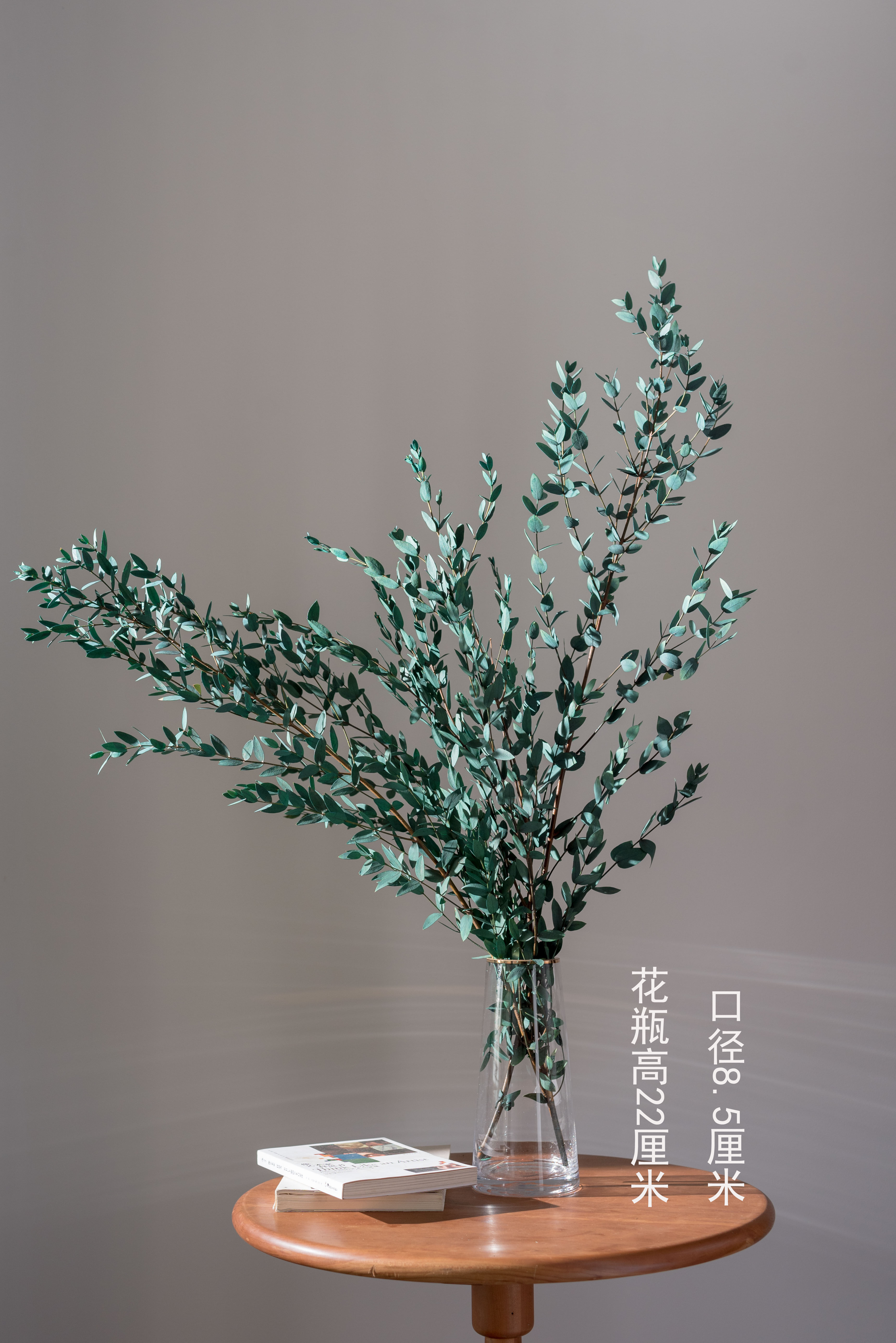 新品细叶尤加利小尖叶北欧欧风ins拍照橱窗装饰干花