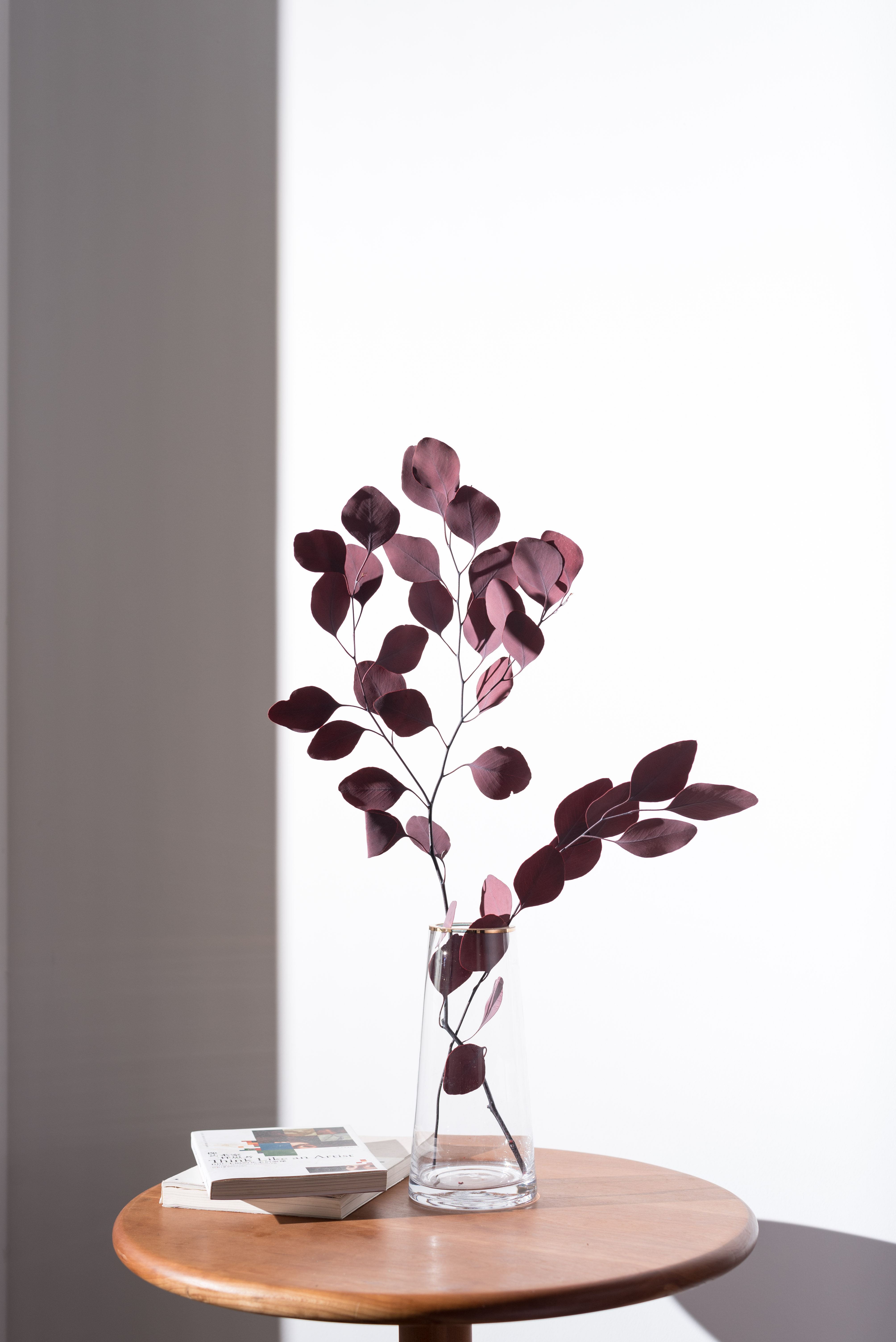 新品拍照苹果永生花装饰蓝色桌面进口叶桌面尤加利干花