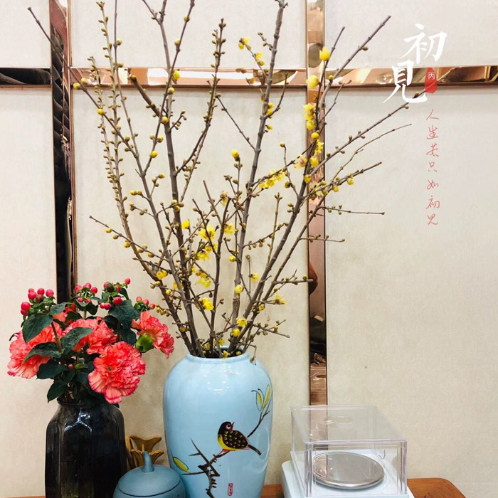 冬季腊梅鲜花水养鲜切枝蜡梅枝条插花枝水插花卉梅花真花素心热卖