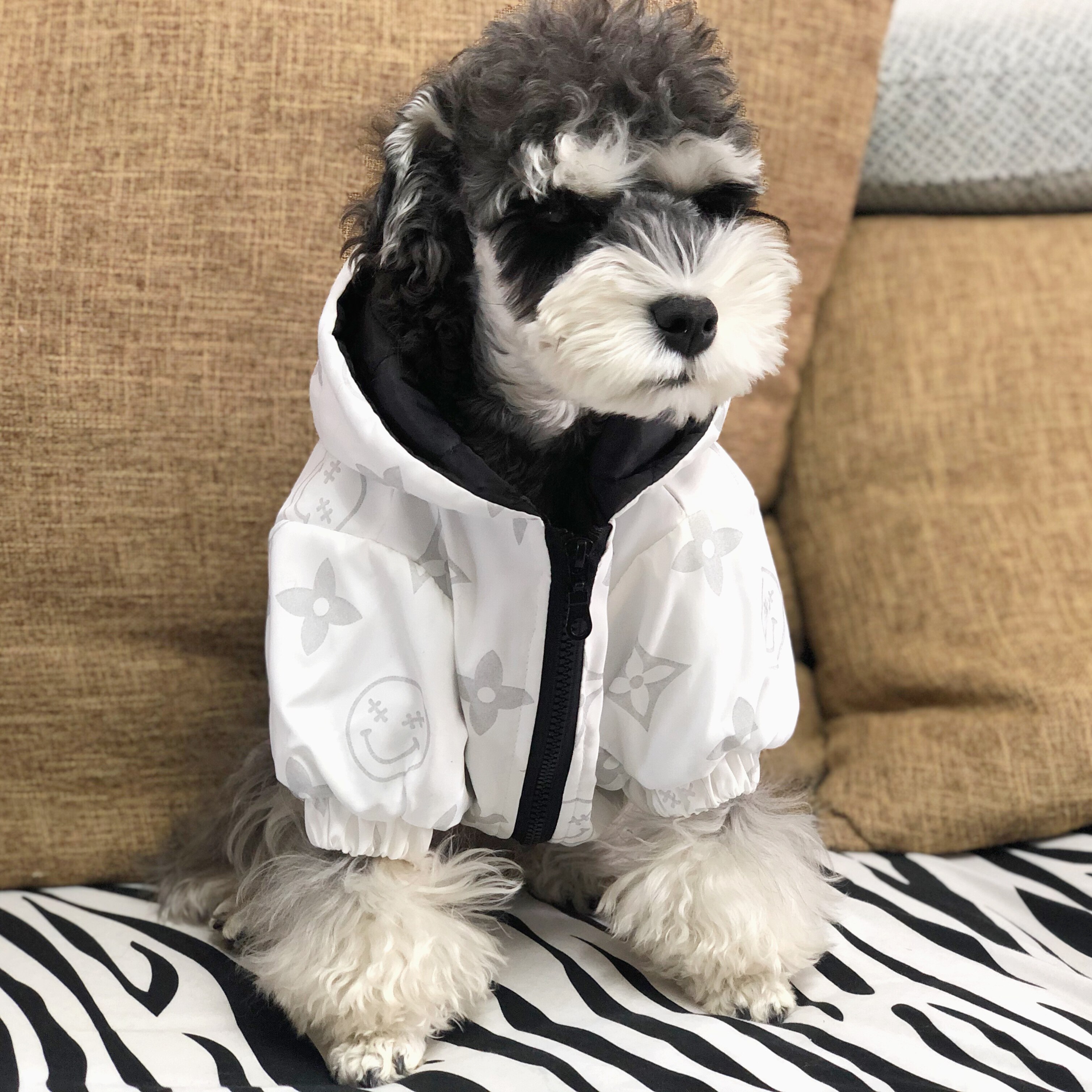 fzl狗狗衣服冬季加厚保暖雪纳瑞比熊泰迪法斗中小型犬棉服外套