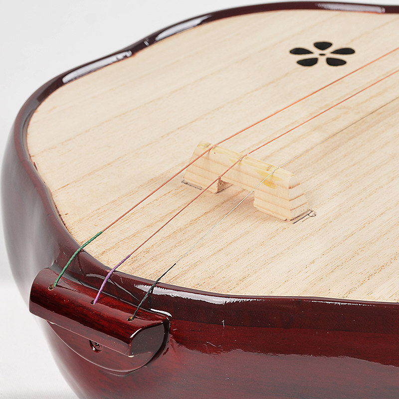 厂家直销乐器教学练习民族弹拨专业演奏三弦秦琴