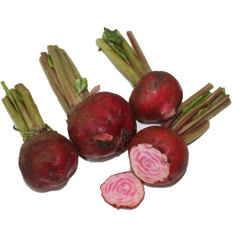 条纹菜头新鲜萝卜螺旋纹菜头500g西餐摆盘江浙沪其它