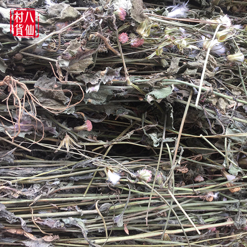 一点红新晒中草药干品羊蹄红背叶全草500g包邮其他药食同源食品