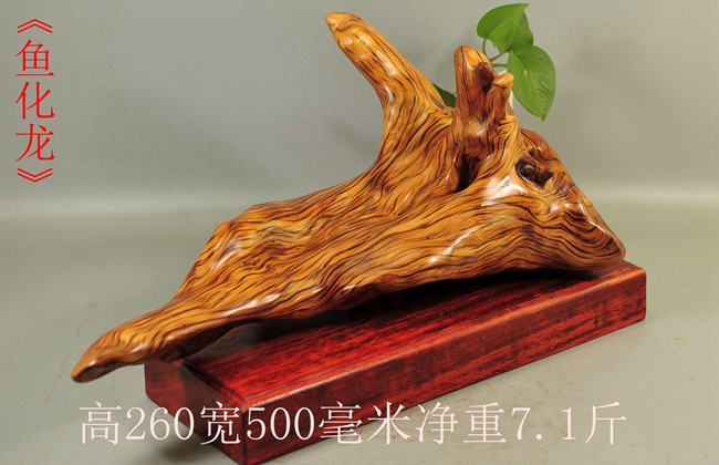 崖柏摆件太行根雕倒流流香笔挂笔筒毛料陈化根雕