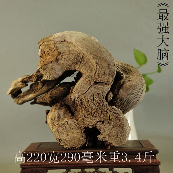 崖柏摆件太行根雕倒流流香笔挂笔筒毛料陈化根雕