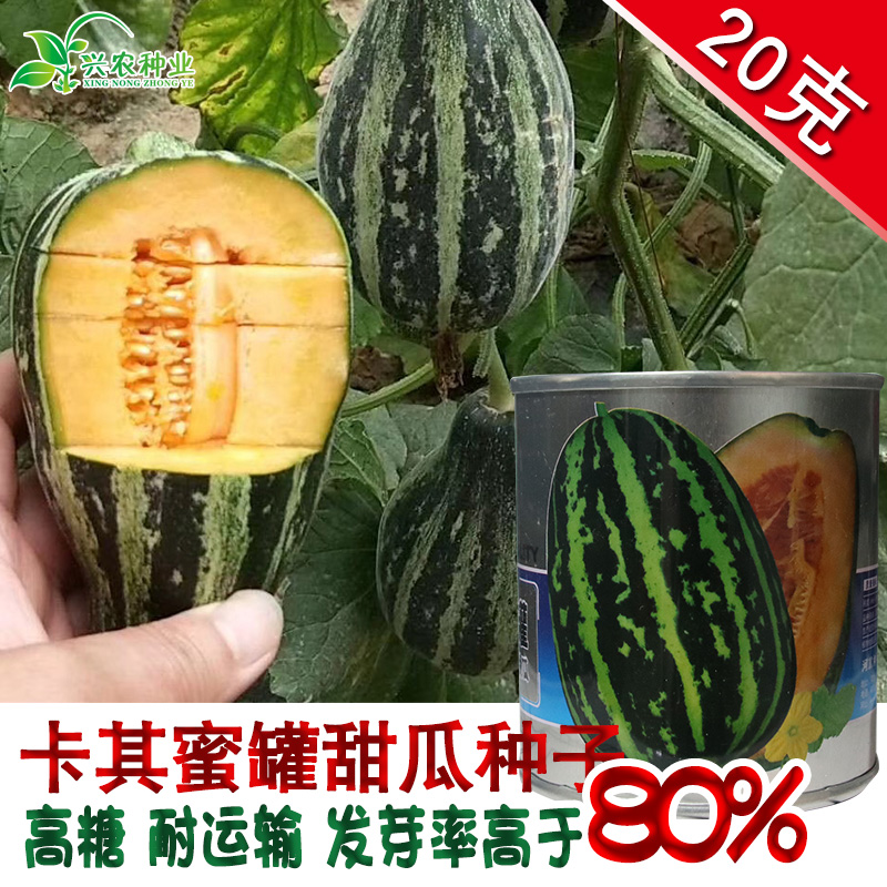 蜜罐香瓜种籽超甜正品薄皮红心甜瓜种子春季蔬菜种子