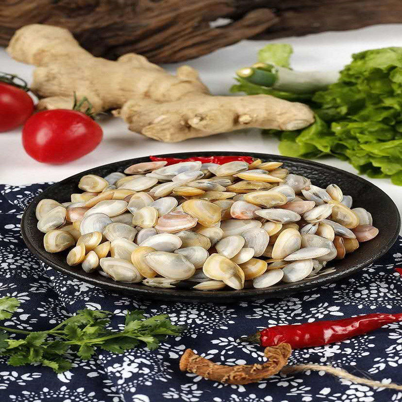 薄壳海瓜子鲜活连云港特产野生小蛤白瓜子贝类海鲜海螺