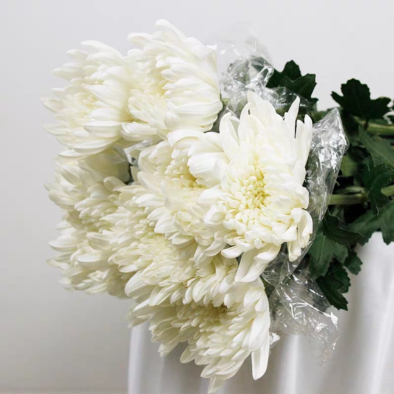 鲜花菊花清明节单支白事丧事供佛祭奠天津同城鲜花速递同城