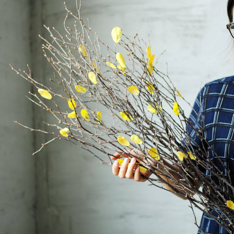 【山树】干花花束枯树枝装饰干支花干枝装饰花插花天然家居摆设
