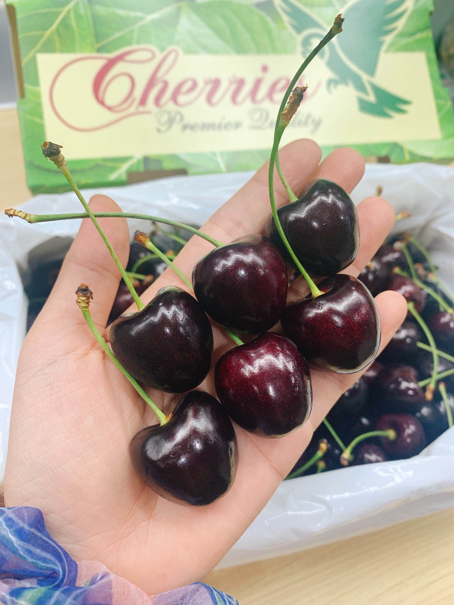 新西兰绿盒亚尼空运车厘子新鲜sweetheartkordia脆甜顺丰车厘子