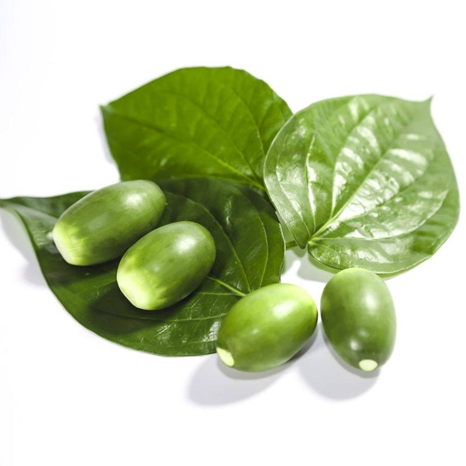 槟榔海南生果新鲜现摘100克散装青果配料包邮槟榔