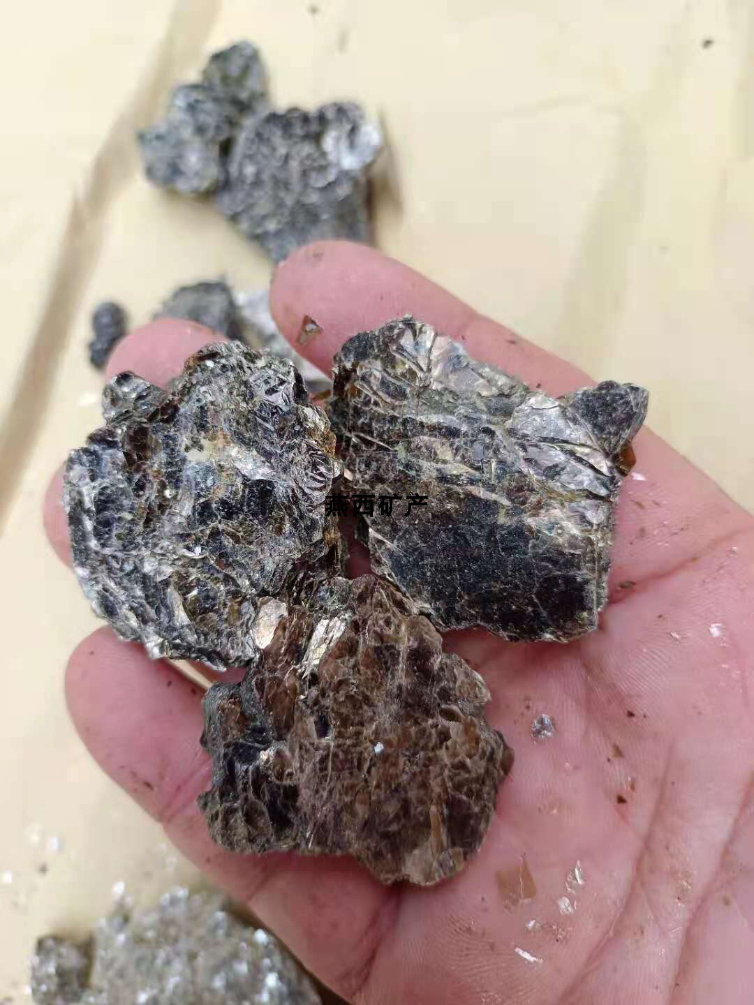 优质银白色现货晶体矿物云石黑色标本金云母教学摆件