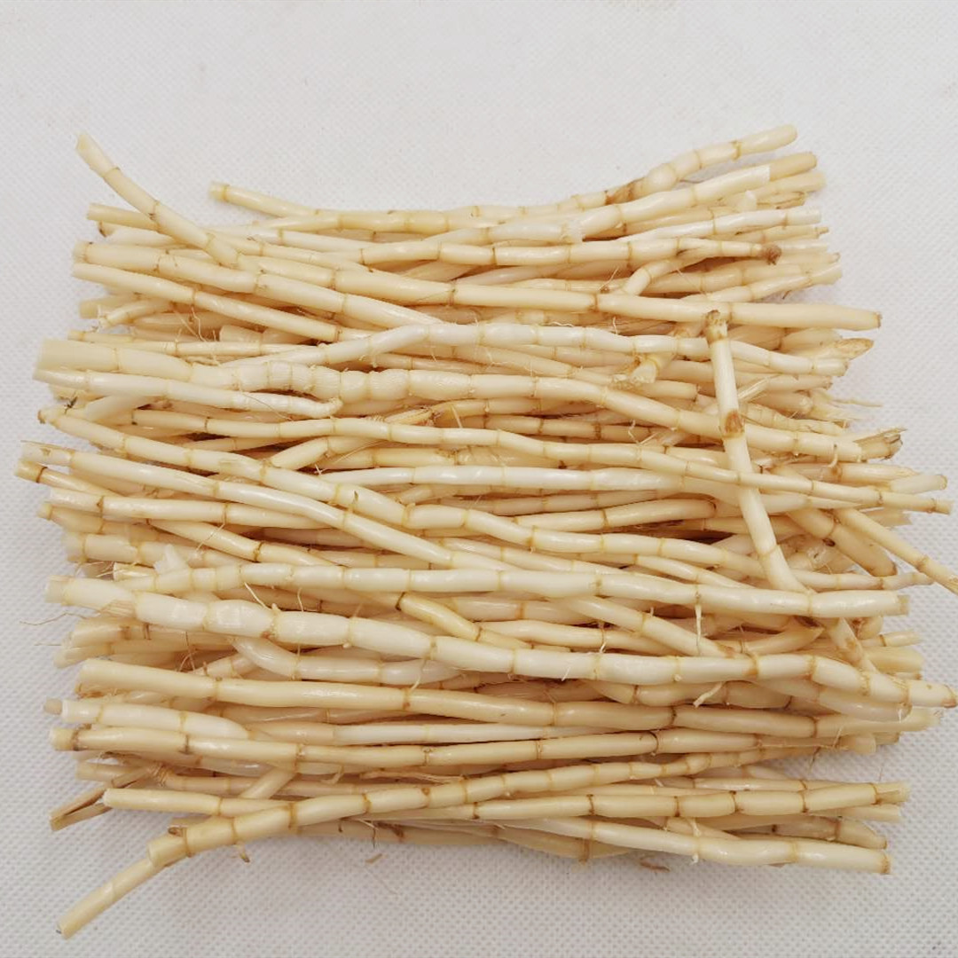 白茅根新鲜野生茅根甘蔗马蹄荸荠饽竹蔗荠广东其他药食同源食品