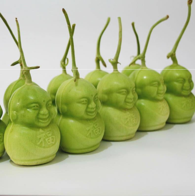 水果人参果果实福娃娃娃香瓜甜瓜哈密瓜10个包邮其它