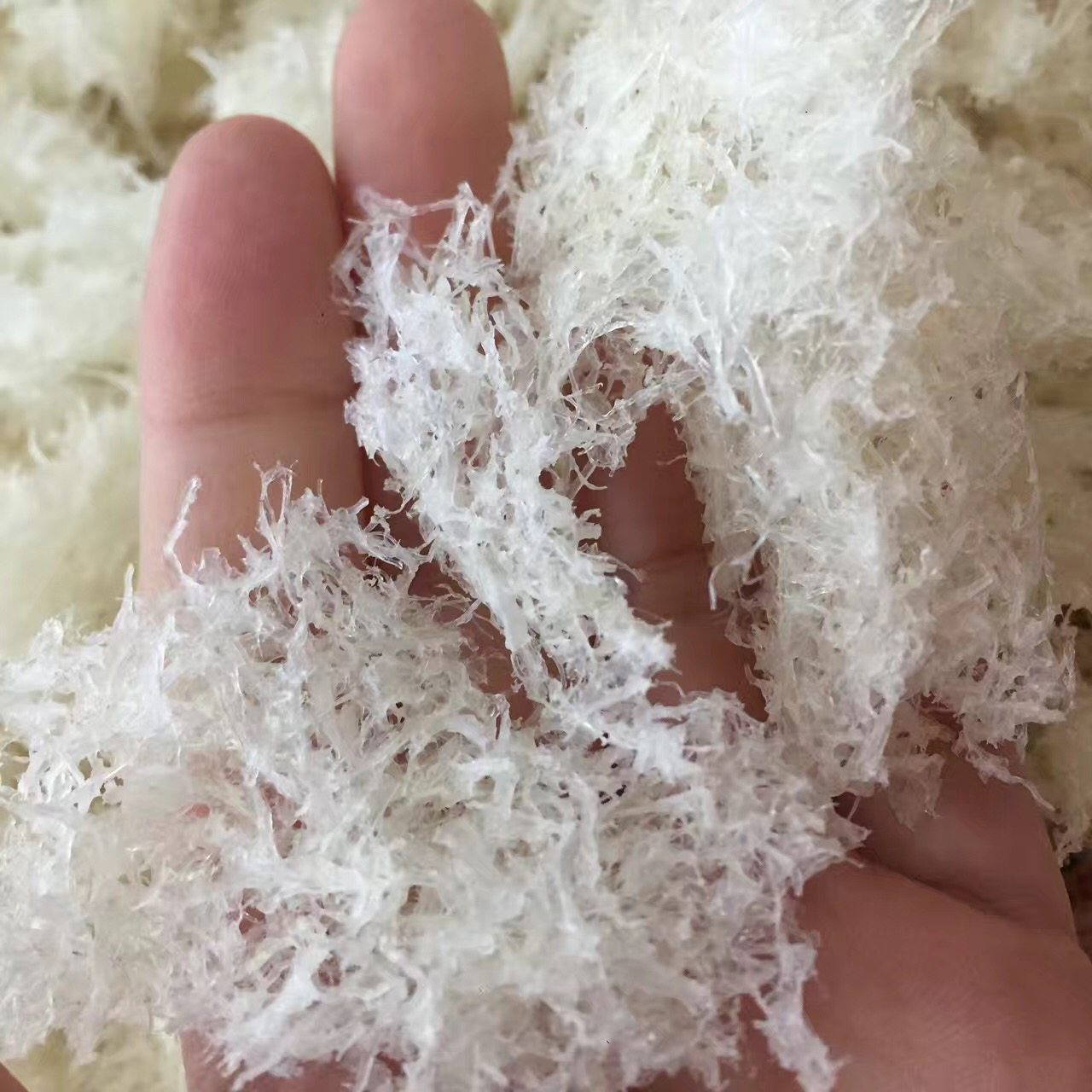 印尼燕窝 正品燕碎进口燕盏白燕 粗丝 囊丝燕丝孕妇营养包邮50g