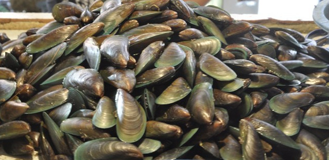 云南昆明海鲜青口贝 淡菜海虹发地州 市区免递费 海鲜刺身种全