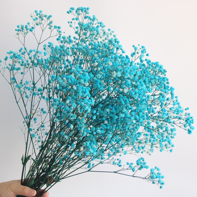 永生满天星干花花束轻奢高端真花客厅卧室装饰干花