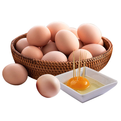 首农百年栗园 林地散养柴鸡蛋30枚土鸡蛋现捡现发中秋节礼盒装