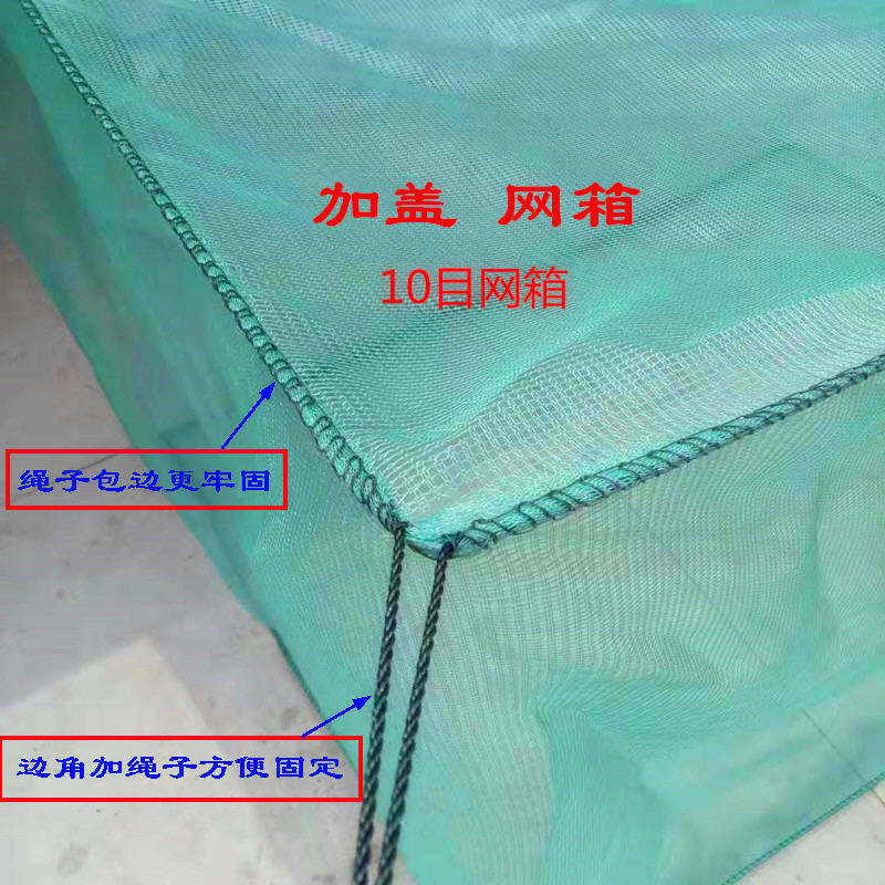【10目可定做】存鱼网箱水产养殖网箱黄鳝网箱泥鳅网箱养鱼渔网 价格