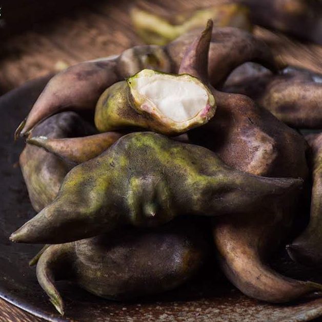 菱角新鲜湖北洪湖特色蔬菜野生凌角应季棱角菱角