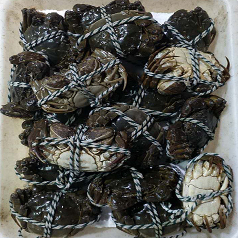 5两卖5送5 红膏大螃蟹 现货鲜活 大闸蟹 固城湖顺丰包