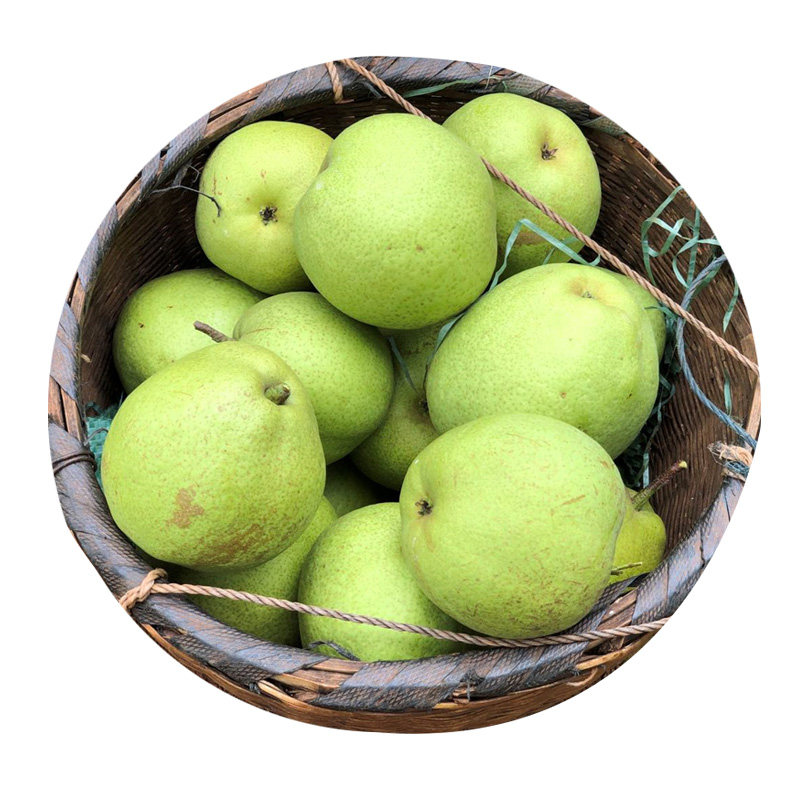 云南昆明宝珠呈贡老树脆甜农产品当季现摘生态梨