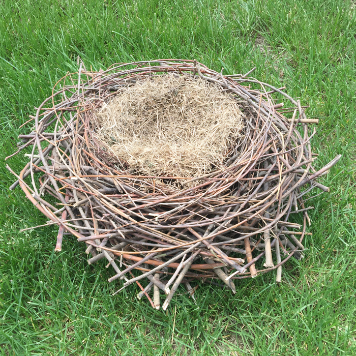 鸟巢巢窝喜鹊树枝编织手工铁丝捆绑装饰家居摆件摆件