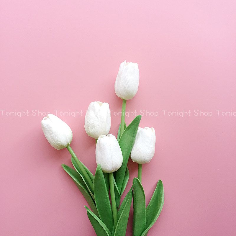 ins风摆拍郁金香仿真家居装饰手捧拍摄道具仿真花