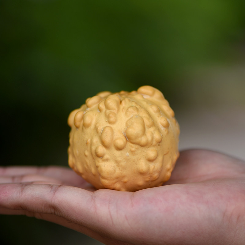 高档精品天然小疙瘩葫芦文玩异形手捻把玩葫芦工艺品葫芦有种子
