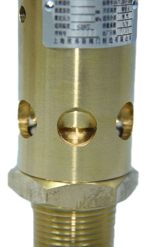 a28x16t埃弗斯弗斯上海同山全启螺杆机空压安全阀减震其他阀门