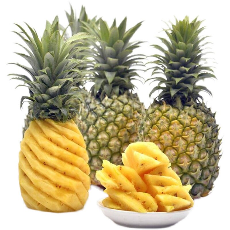 广东特产新鲜水果徐闻曲界香水菠萝10斤当季菠萝