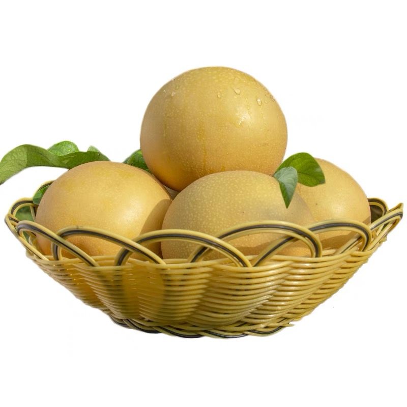 河南宁陵梨秋月梨梨子新鲜10斤现摘现发整箱正宗脆甜应季礼盒装-mc