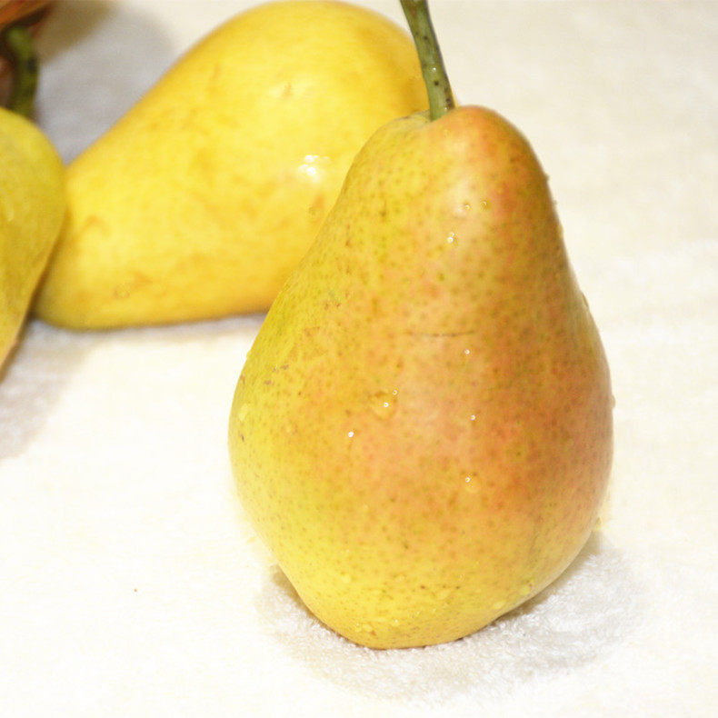 农大姐妹新鲜太婆梨包邮软梨子老婆梨大头梨香梨洋梨茄梨实发5斤