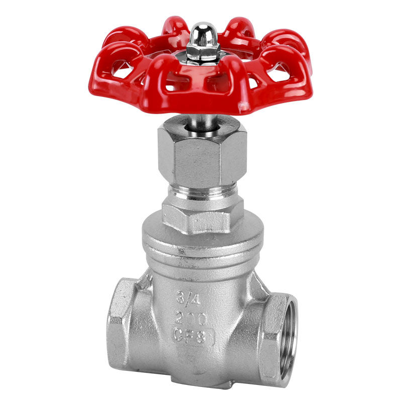 闸阀不锈不锈钢钢丝螺纹z11w16p水暖开关自来水4分闸阀