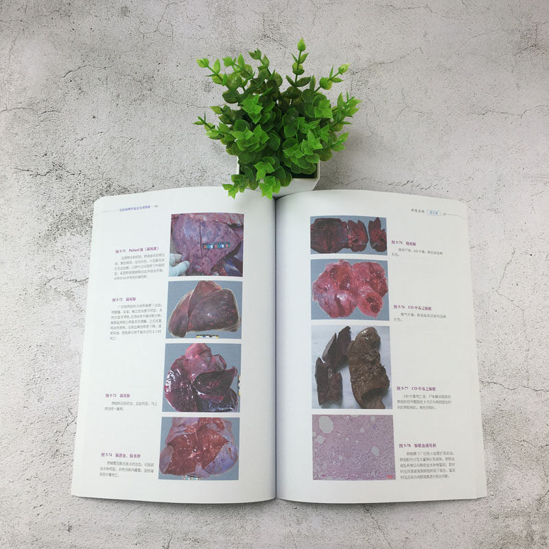 法医病理学鉴定实用图谱雷普瞿勇科学出版社法学理论