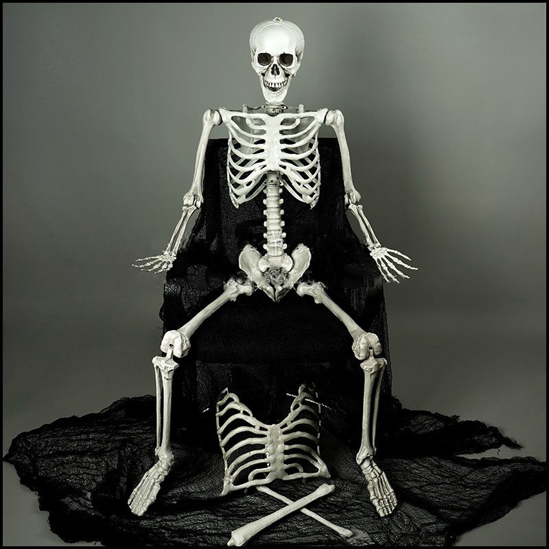 骷髅万圣节鬼屋密室逃脱仿真骨架摆件头骨模型其它